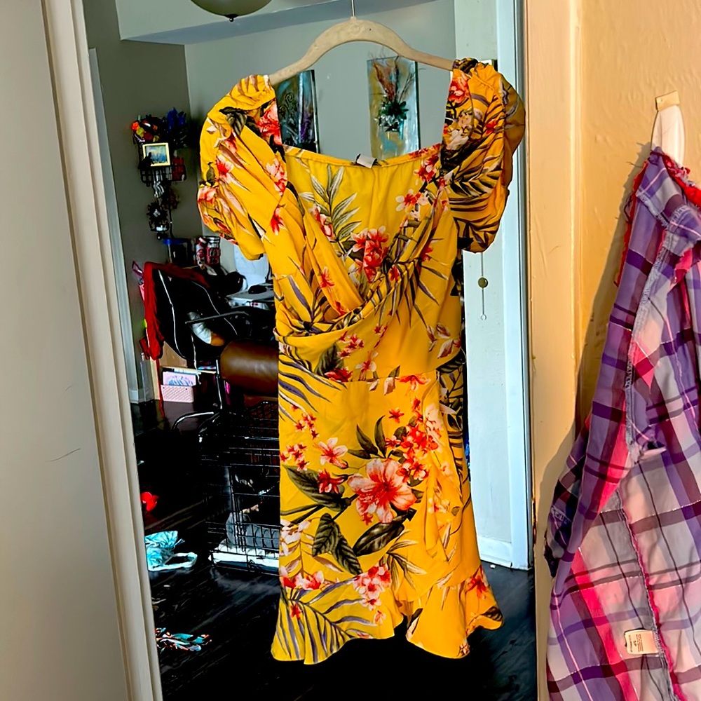 Brand new dress